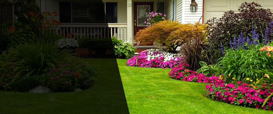 Greenwood Landscapers
